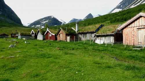 Namai, Kotedžai, Norvegija, Gamta, Žemdirbystė, Ožkų Ūkis, Žolės
