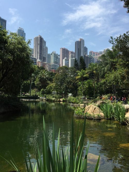 Honkongas, Parkas, Tvenkinys, Dangoraižis, Sodas, Miesto Panorama
