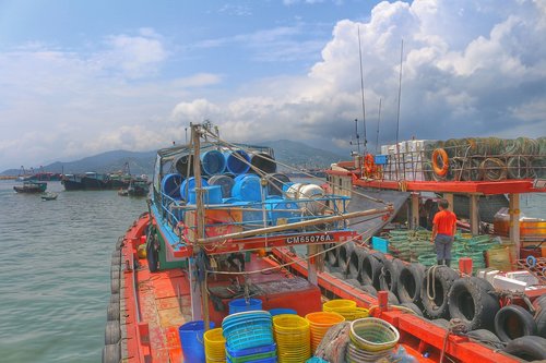 Honkongas,  Ilga Sala,  Žvejų Kaimelis,  Nuoširdus