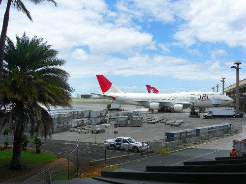 Honolulu,  Tarptautinis,  Oro Uostas,  Hnl,  Aviakompanija,  Lėktuvas,  Jal,  Jal,  Žygis,  Japanese,  Tarptautinis Oro Uostas