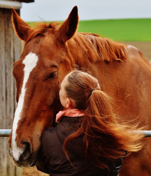 Arklys, Smooch, Meilė Gyvūnams, Jaustis Kaip Namie, Mergaitė, Moteris, Linksma, Laukinės Gamtos Fotografija, Saldus, Gyvūnas, Mielas