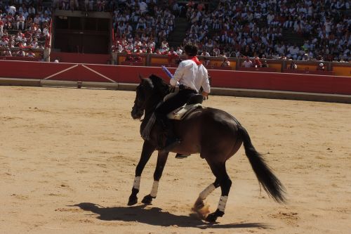 Arklys, Pakartotinai, Plaza, Pamplona