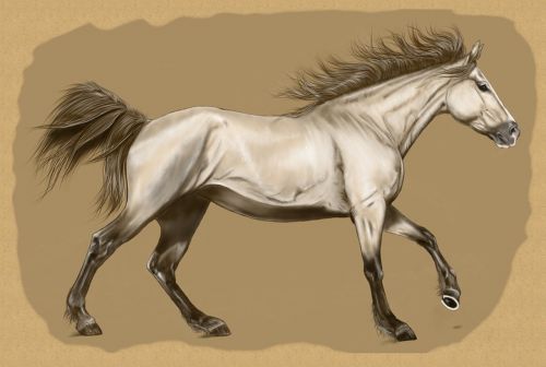 Arklys, Skaitmeniniai Meno Kūriniai, Menas