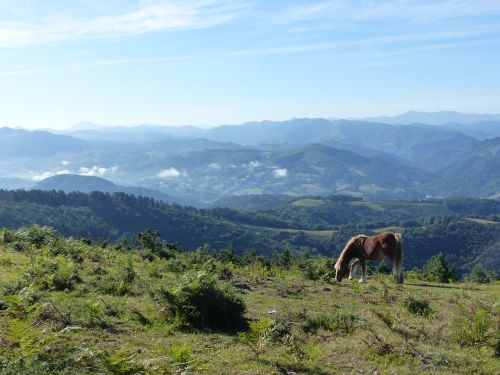 Arklys, Kalnas, Arkliai, Žygiai, Pyrénées, Gyvūnas, Baskų Kraštas, Panorama