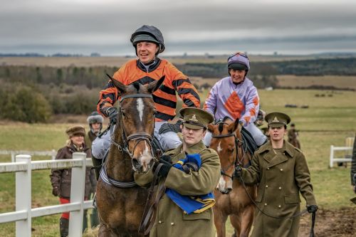 Arklys,  Lenktynės,  Jodinėjimas,  Jockey,  Grynas,  Varzybos,  Raitelis,  Trasa,  Sportas,  Veiksmo Energija,  Dirvožemis,  Judėjimas,  Nuo Tasko Iki Tasko,  Steeplechase,  Be Honoraro Mokesčio