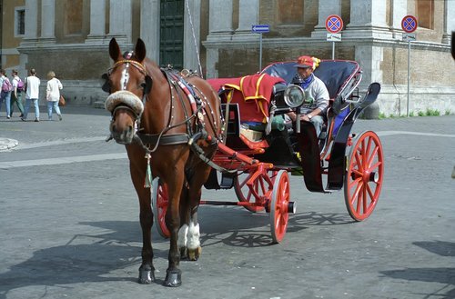 Arklys,  Chariot,  Eismo,  Miestas,  Roma,  Italija