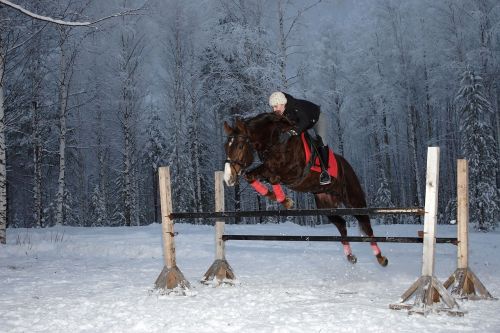 Arklys, Sportas, Arkliukas, Žiema