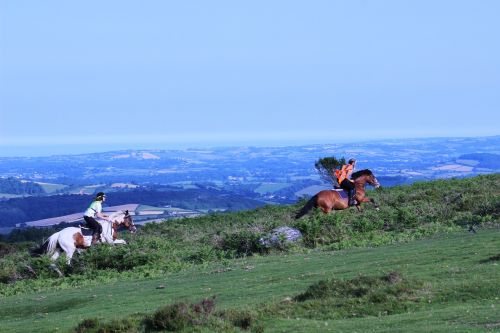 Žirgais, Devon, Dartmoor