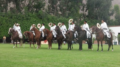 Arkliai, In, Restoranas, Apie, Peru