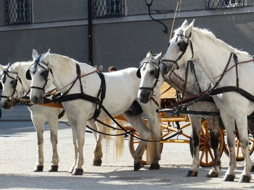 Arkliai, Arklių Vilkikas, Pelėsiai, Turizmas, Salzburg, Austria