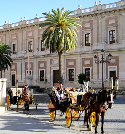 Arkliai, Sevilla, Turizmas, Ispanija