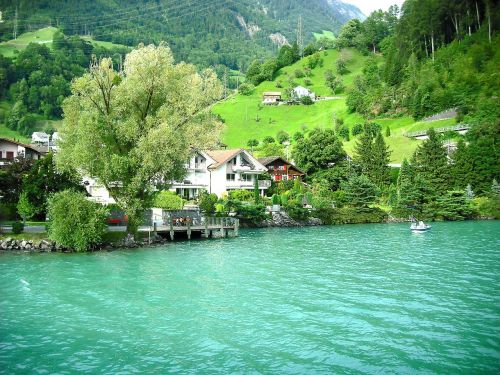 Namas, Šveicarija, Swiss, Kraštovaizdis, Peizažas, Miestas, Ežeras, Luzern, Žalias, Namas Kalnuose