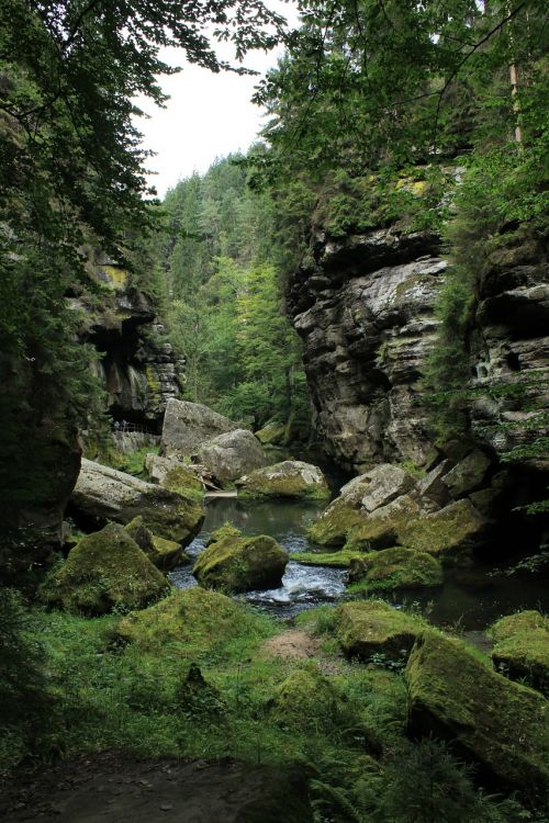 Hřensko, Akmenys, Čekijos Šveicarija, Upė, Grioviai, Vanduo, Akmuo