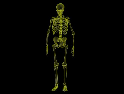 Žmogaus Karkasas, Anatomija, Kaulai, Skeletas, Medicinos, Kūnas, Mokslas, Sveikata, Medicina, Rentgeno Spinduliai, 3D, Biologija, Anatominis, Stuburo, Skeletas