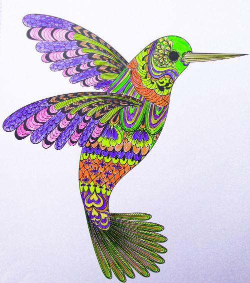 Kolibris,  Hummingbirds,  Paukščiai,  Spalvinga,  Kolibrio Iliustracija