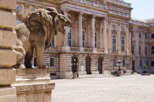 Vengrijos Nacionalinė Galerija, Budapest, Kiemas, Skulptūra, Liūtas, Įvestis, Vengrija