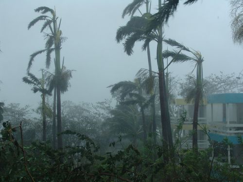 Uraganas, Niokojimas, Sunaikinimas, Stichinė Nelaimė, Nelaimė, Sunaikinta, Gamtos Jėga, Persiųsti