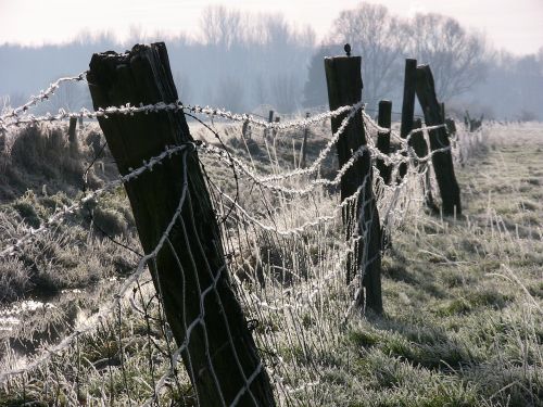 Ledas, Žiema, Tvora, Šaltas, Auskaras, Žiemą