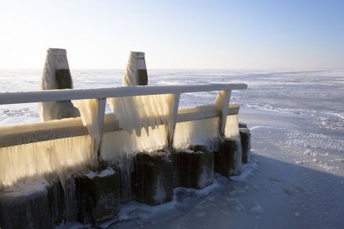 Ledas, Ijsselmeer, Žiema