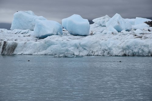 Iceberg,  Vandens Telkinys,  Ledas,  Ledinis,  Užšalęs