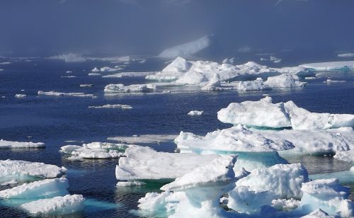 Ledkalniai, Jūra, Ledas, Grenlandija, Arktinis Apskritimas, Šaltas, Poliarinis Regionas