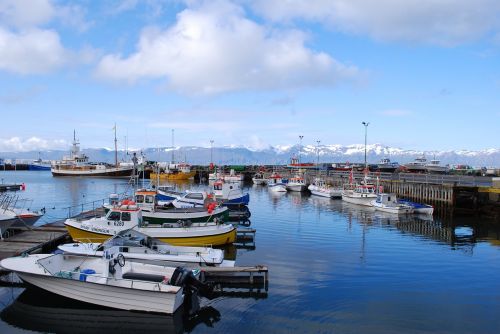 Iceland, Uostas, Laivas, Húsavík
