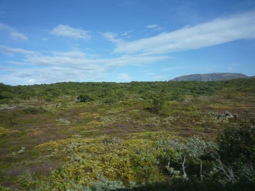 Iceland, Gamta, Kraštovaizdis