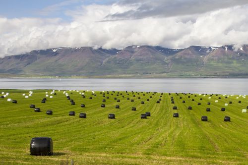 Iceland, Pašarų Rulonai, Kraštovaizdis