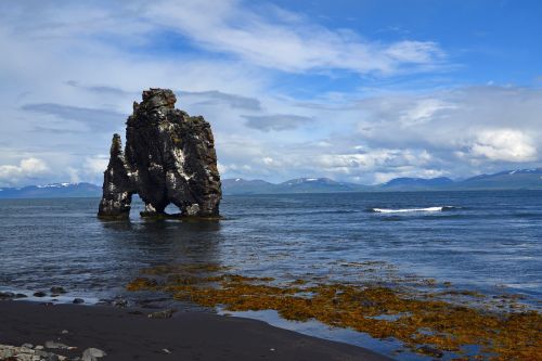 Iceland, Hvitserkur, Vatnsness, Gamta, Kraštovaizdis, Jūra, Vasara