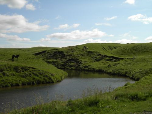 Iceland, Gamta, Arklys, Upė, Žalias