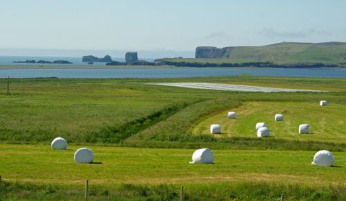 Iceland, Uolos, Vik, Prairie