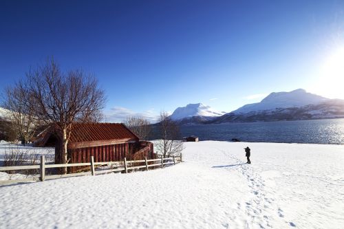 Iceland, Sniegas, Kraštovaizdis, Žiema, Ežeras