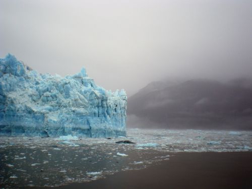 Ledynas,  Ledas,  Alaska,  Ledinis,  Sąsiauriai,  Ledinis Įlankos Ledynas