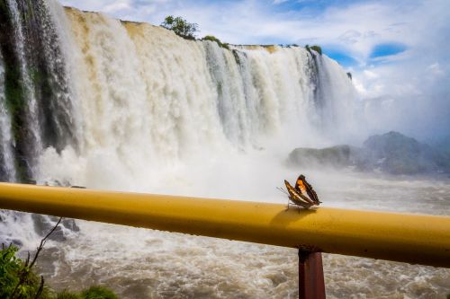 Iguazu, Iguacu, Kritimo, Krioklys, Drugelis, Brazilija, Gamta, Upė, Į Pietus, Amerikietis, Dangus