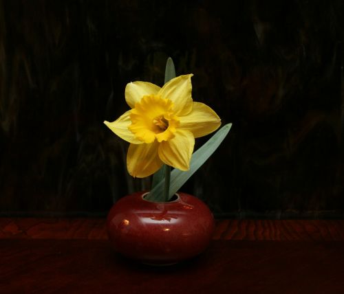 Ikebana, Gėlių, Išdėstymas, Daffodil, Gėlė, Geltona, Narcizas, Japanese