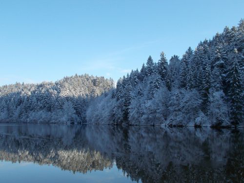 Ilz, Ežeras, Kraštovaizdis, Miškas, Gamta, Nuotaika