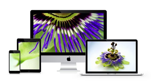 Imac,  Gėlės,  Stalas,  Top,  Kompiuteris,  Ekranas,  Apple Imac