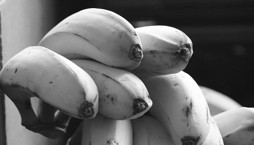 Vaizdas, Juoda Ir Balta, Bananas, Bananų Medis, Vaisiai, Quindio