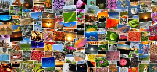 Vaizdai, Nuotraukos, Nuotraukų Kolekcija, Nuotraukų Albumas, Mozaika, Koliažas, Įrašai, Įvairovė, Daug, Spalvinga, Sumaišyti, Nuotraukų Albumas, Nuotrauka, Pixabay, Foto Mozaika