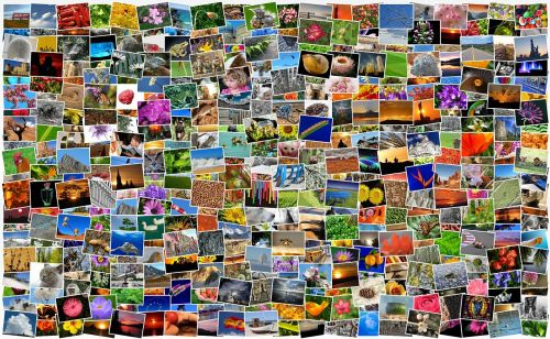 Vaizdai, Nuotraukos, Nuotraukų Kolekcija, Nuotraukų Albumas, Mozaika, Koliažas, Įrašai, Įvairovė, Daug, Spalvinga, Sumaišyti, Nuotraukų Albumas, Nuotrauka, Pixabay