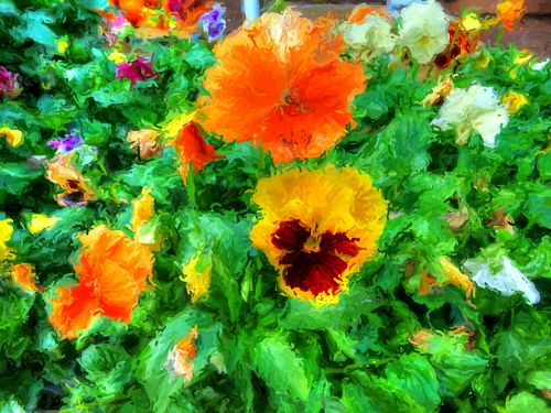 Pansy,  Namukai,  Oranžinė,  Gėlė,  Gėlės,  Gėlių,  Augalas,  Sodas,  Sodininkystė,  Impresionistas,  Impressionistinis,  Dažytos,  Meno,  Tapybos,  Oranžinės Impresionistinės Pansies