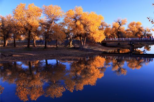 Xinjiang, Atspindys, Medis, Gamta, Vandenys, Ruduo