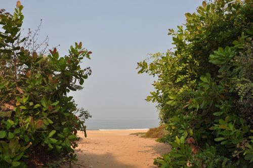 Indija, Goa, Kelias Į Paplūdimį