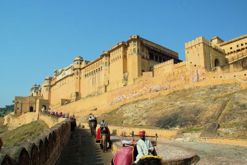 Indija, Rajasthan, Fortas, Amer, Mugalo Architektūra, Drambliai, Transporto Priemonė, Transportas