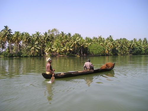 Indija, Fischer, Boot, Upė, Žuvis, Kerala