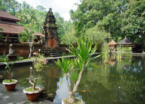 Indonezija, Bali, Klung-Klung, Šventykla, Baseinas, Egzotiniai Augalai, Vanduo, Sodas