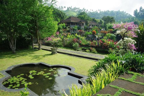 Indonezija, Bali, Pura Ganga, Šventykla, Baseinas, Vanduo, Sodas, Egzotiniai Augalai