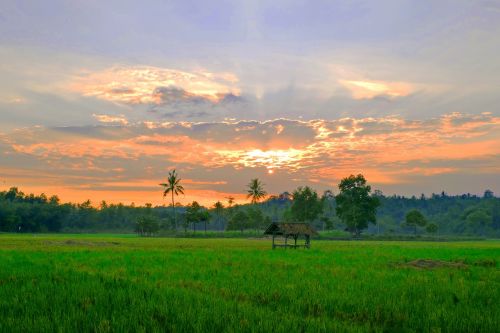 Indonezija, Lampung, Kraštovaizdis, Saulėlydis, Laukai