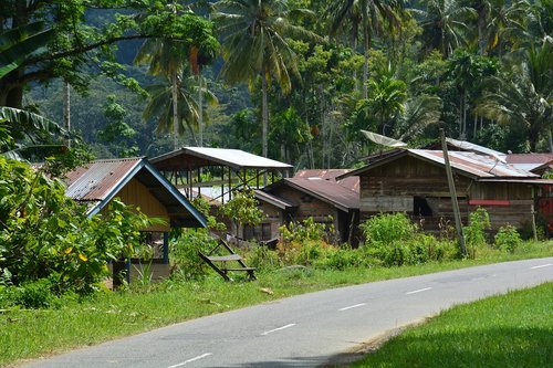 Indonezija,  Sumatra,  Ketambe