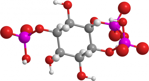 Inozitolio Trifosfatas, Organinė Chemija, Molekulė, Farmacoquímica, 3D